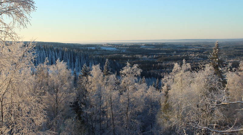 Национальный парк Коли в Финляндии