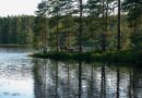 Отдых на озерах в Финляндии