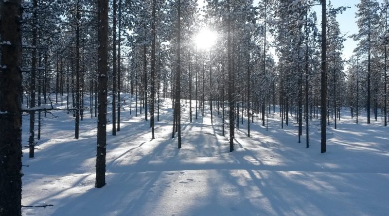 В Финляндии зафиксированы рекордно низкие температуры