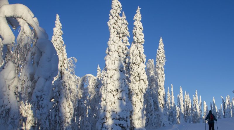 В Финляндии ожидаются теплые выходные