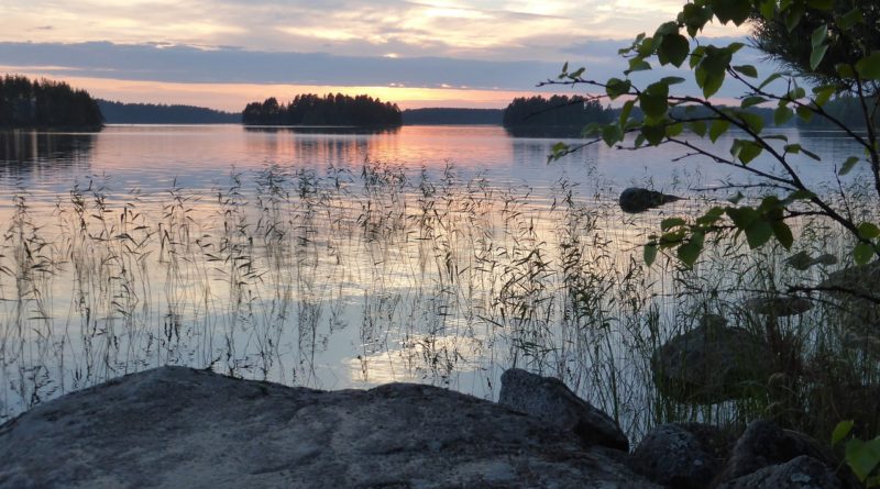 Сроки выдачи финской визы в апреле увеличились до 20 дней