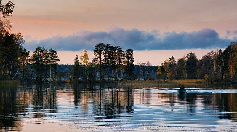 За ловлю редкой рыбы в Финляндии будут карать большими штрафами