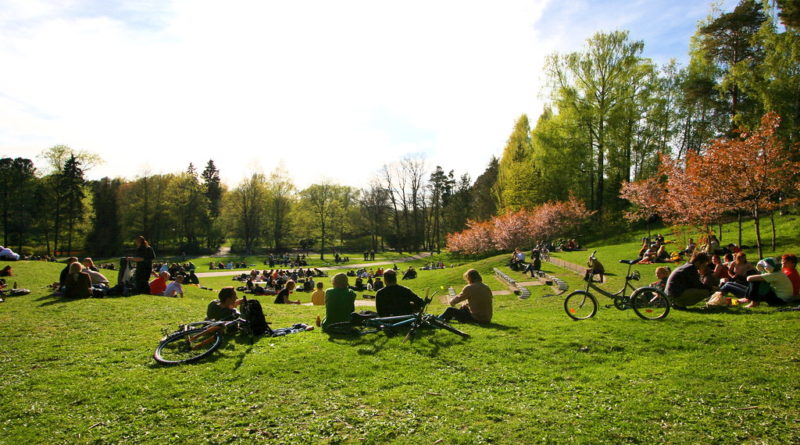 Парк Хельсинки Alppipuisto проведет 6 музыкальных фестивалей