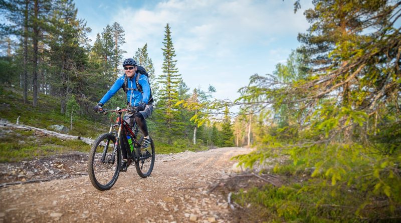 В сопки Лапландии хотят привлечь любителей горного велотуризма