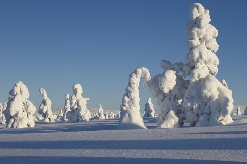 Зима в финском регионе Лапландия