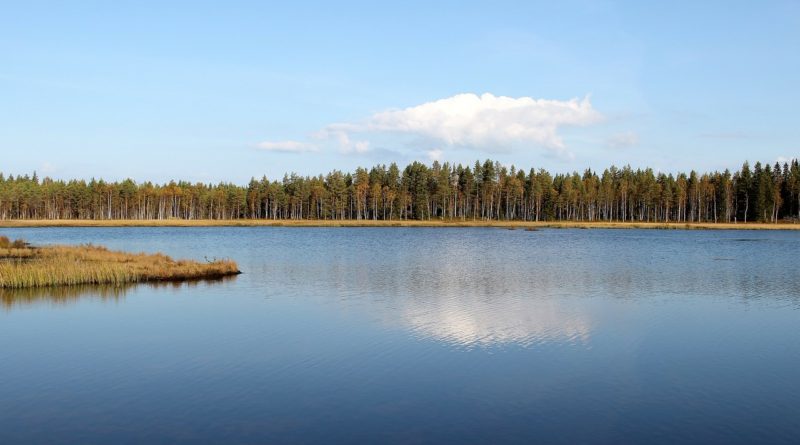 В финских водоемах совершенно спокойно можно купаться