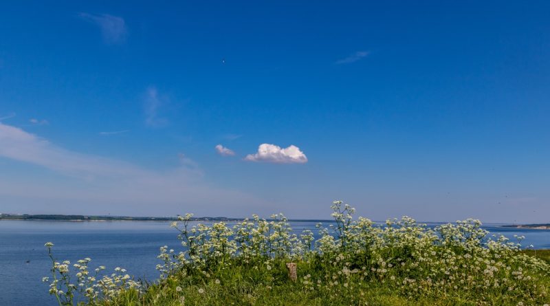 2020 год приносит Финляндии самый жаркий июнь за 60 лет