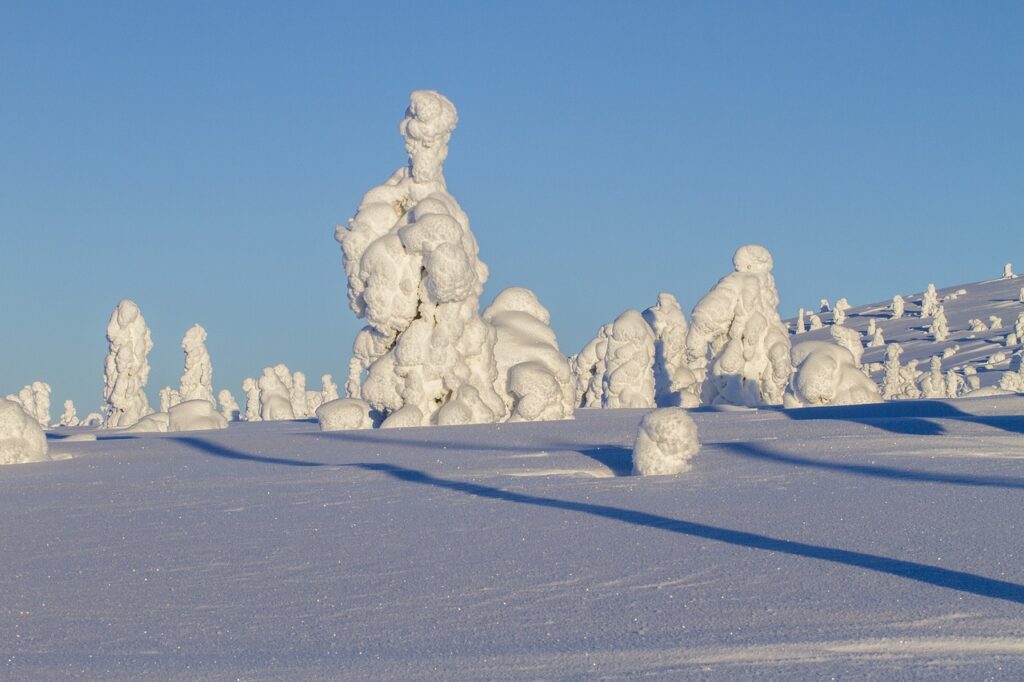Снег в Лапландии