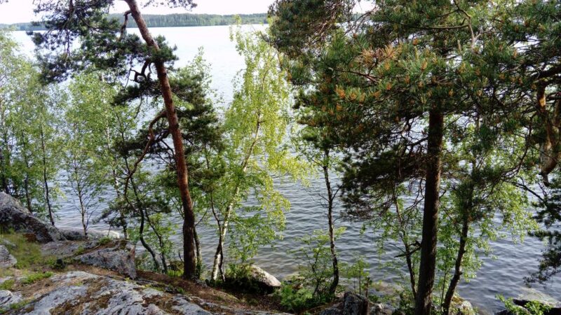 Отдых в хостеле Immalanjärvi