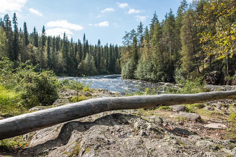 Отдых в национальном парке Оуланка в Финляндии