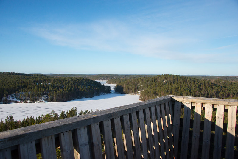Природа в национальном парке Repovesi в Финляндии