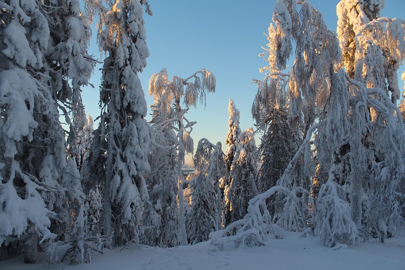 Зимний климат в Финляндии