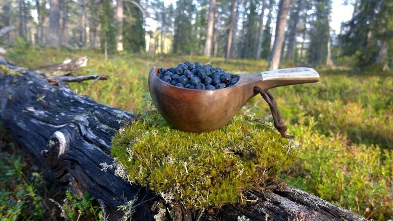 Применение деревянной кружки Kuksa в Финляндии