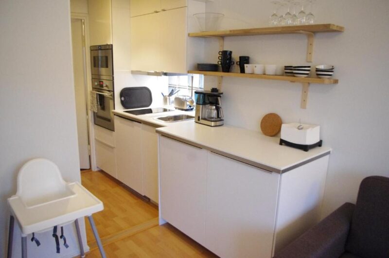 Кухня в апартаментах Borent Suite 4*