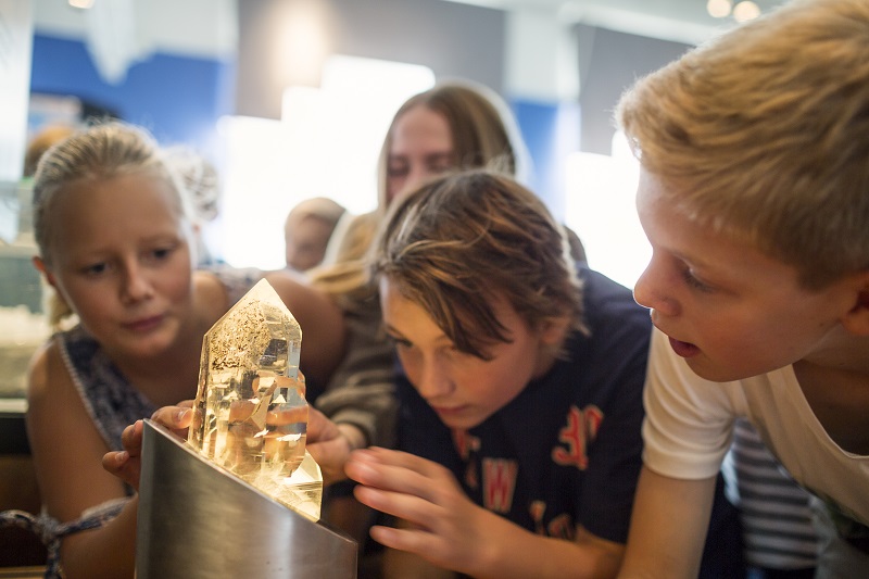 Дети изучают минерал в музее естественной истории в Стокгольме
